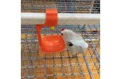 China Orange Chicken Watering System Low Pressure Automatic Poultry Watering System supplier