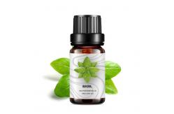 China Massage OEM Essential Oil New ODM Basil Essential Oil Diffuser Cosmetics supplier