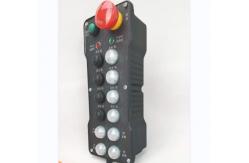 China Industrial 2 Way Joystick Remote Control Reinforced Nylon With 1 Receiver supplier