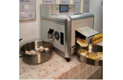 China  Omelette Maker Electric Machine Dough Maker Machine Mixer Egg Fryer Egg Frying Machine supplier