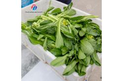 China High Efficiency Fruits And Vegetables Washer For Dandelions Coriander supplier