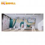 Gym Park Indoor Climbing Wall Commercial Corrosion Resistant Customized for sale