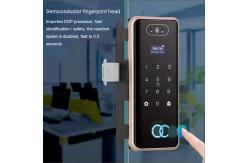 China 3D Face Recognition Electronic Glass Door Lock Fingerprint Password Lock supplier