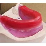 Trushine Dental Record Blocks For Final Full Dentures for sale