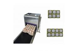 China Easy To Maintain Egg Continuous Inkjet Printer For Expiration / Expiry Date supplier