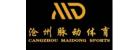 China Gymnastics Fitness Equipment manufacturer