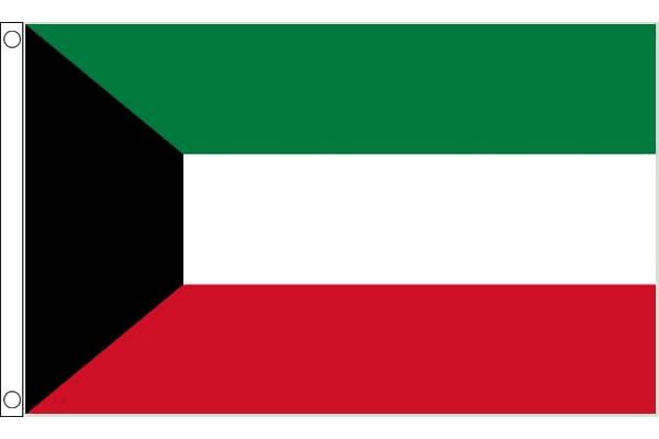 Promotional 100% Polyester Thread Sewing 3x5 Ft Morocco National Flag