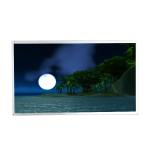 AUO M185XW01 VH 1366X768 TN, Normally White, Transmissive 18.5 inch Monitor lcd display module for sale