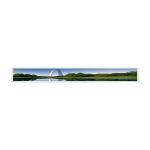 28.6 inch LCD panel For LG LD290EJE-FPA1 LCD screen Floor standing display panel for sale