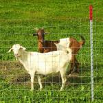 Factory supply is cheap Galvanized mesh roll Deer field farm fence for sale