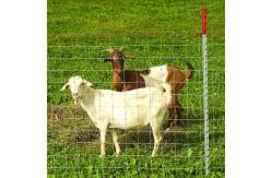 China Factory supply is cheap Galvanized mesh roll Deer field farm fence supplier