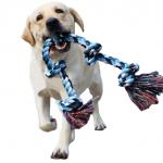 Best Interactive Puzzle Cotton Rope Toys For Dogs for sale