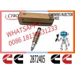 Fuel Injector Assembly 2872544 2086663 2057401 2872405 203183 2030519 2031836 2872289 2086663 Common Rail Injector for sale