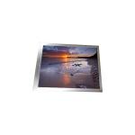 in Stock BE062X6S-L40 Original 6.2 inch LCD Panel for sale