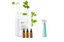 China High Concentrated Forest Air Freshener Fragrance For Home Hotel Room supplier