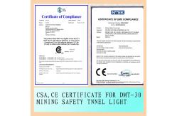 China 6500K Cree Waterproof LED Explosion Proof Light IP67 With High Power LED supplier