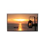 LMS430HF09 4.3 inch TFT LCD Screen Display Panel for sale