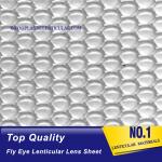 PLASTIC LENTICULAR high quality one sided dots 360 3d fly eye lens sheet dot lenticular sheet for sale