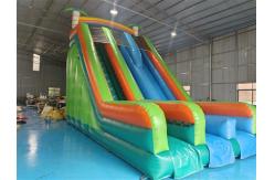 China Silk Printing Commercial Inflatable Dry Slide Outdoor Jumping Bouncer Slide supplier