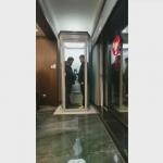 Stylish Home Capsule Elevator | 500-1000kg Capacity for sale