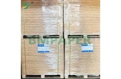 China Biodegradable Food Safe Cupcake Paper Sheets with Silicone Coated supplier