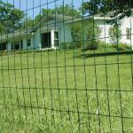 1/4 Inch Galvanized 1.5x20m Welded Rabbit Cage Wire Mesh for sale