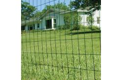 China 1/4 Inch Galvanized 1.5x20m Welded Rabbit Cage Wire Mesh supplier