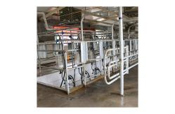 China Low Noise 1.5KW Herringbone Milking Parlor Electric Equipment supplier