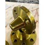 Jis B2220 Ss400 Forged Steel Flanges Anti Corrosion for sale