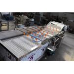 Ozone Air Bubble Vegetable Washing Machine 3.75KW With Water Circulating System