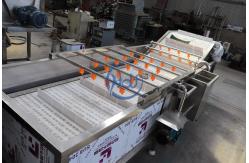 China Ozone Air Bubble Vegetable Washing Machine 3.75KW With Water Circulating System supplier