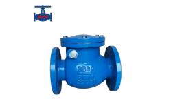 China Metal Sealing Ductile Iron Swing Check Valve For Water Pipeline BS5153 Standard supplier