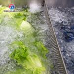 Stepless Shift Water Current Motivity Fruit And Vegetable Washing Machine Impurities Separation