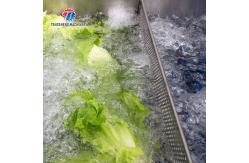 China Stepless Shift Water Current Motivity Fruit And Vegetable Washing Machine Impurities Separation supplier