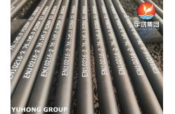 China EN10216-2 P235GH TC1 Heat Exchanger Tube For High Temperature Environments supplier
