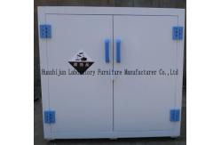 China SGS Acid Base Laboratory Storage Cabinets Multipurpose Practical supplier