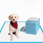 20g-120g Core Dog Pet Training Pads Diaper Charcoal Pet Pads for Dogs Diaper Training for sale