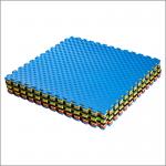 Water Resistant Martial Arts Puzzle For Children Sponge Tesla Floor Park