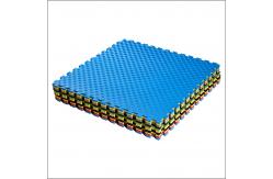 China Water Resistant Martial Arts Puzzle For Children Sponge Tesla Floor Park supplier