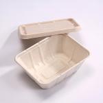 Disposable Takeaway Sugarcane Bagasse Box Disposable Food Containers With Lids for sale
