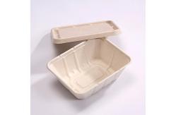 China Disposable Takeaway Sugarcane Bagasse Box Disposable Food Containers With Lids supplier