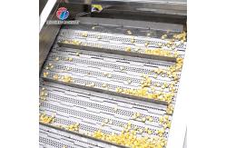 China The corn threshing washing blanching production line supplier
