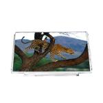 B133XW03 V1 Laptop Screen Display 13.3 INCH LCD for AUO for sale