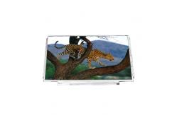 China B133XW03 V1 Laptop Screen Display 13.3 INCH LCD for AUO supplier