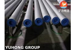 China ASTM A312 TP310S Stainless Steel Seamless Pipe Pickled And PMI Test supplier