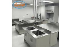 China C Frame Stainless Steel Lab Bench Multi Function Chemical Resistant supplier