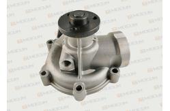 China BF4M2012 Water Pump Fit for DEUTZ ENGINE 04256850 Water Pump Diesel Engine supplier
