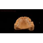 Perfect Fit Germany Ortho Teeth Halley Retainer for Esthetics and Adjustability Clear Shade SDL Dental Lab for sale