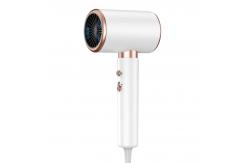 China Powerful Portable Household Fast Drying White OEM ODM Negative Ion Hair Dryer supplier