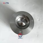 Engine Piston 6M2012 BFL913 D6E Piston Kit 6M2012-C56D 40*80mm Pin for sale